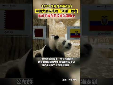 流浪者逆风,翻盘,费内巴切点,雷速比分网,体育赛事平台,足球比赛比分,篮球比赛数据,体育赛事信息