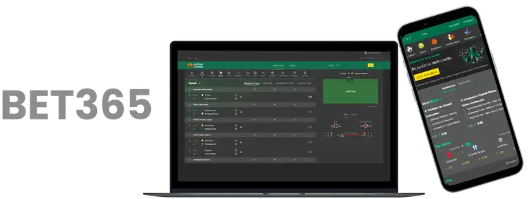 重庆国际马,拉松大赛拉,开序幕,雷速比分网,体育赛事平台,足球比赛比分,篮球比赛数据,体育赛事信息